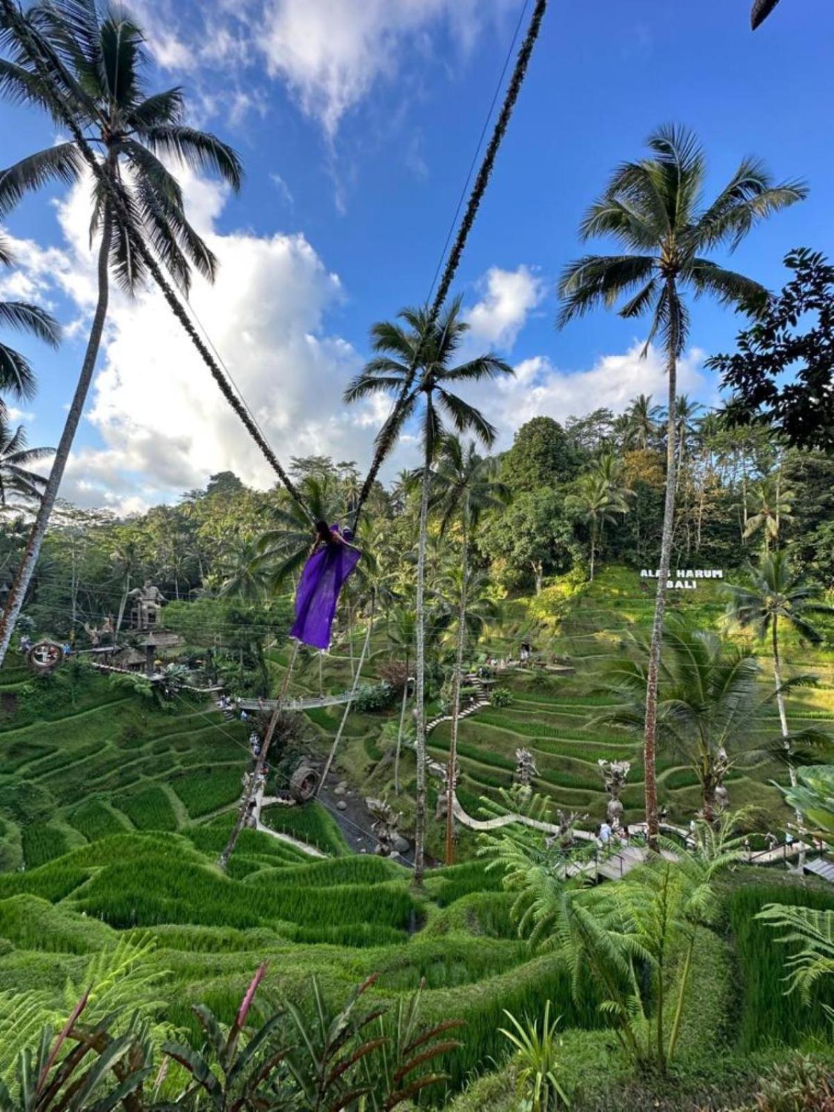 Luxury 3Br Infinity Jungle View Aashaya Villa Ubud Exterior photo
