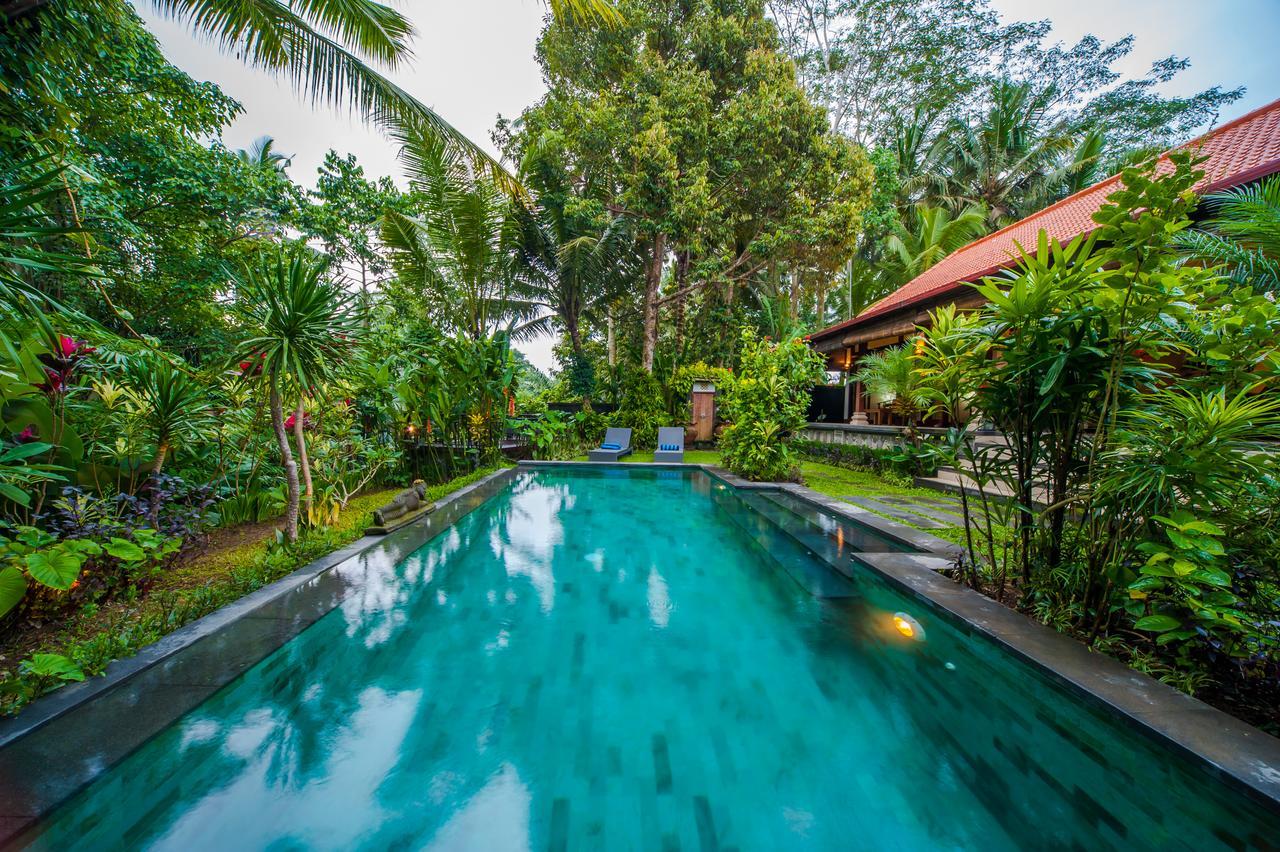 Luxury 3Br Infinity Jungle View Aashaya Villa Ubud Exterior photo